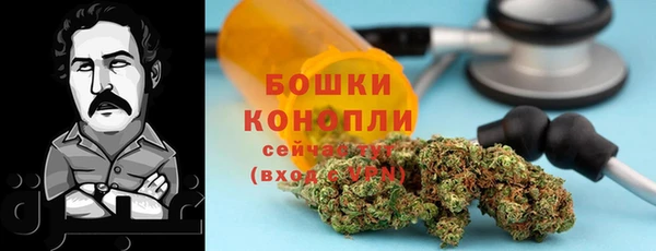 ECSTASY Богородицк