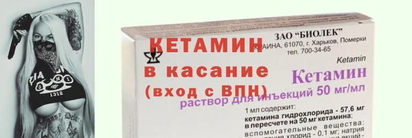 ECSTASY Богородицк